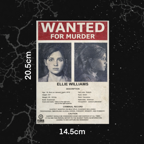 بوستر مطلوب (إيلي)