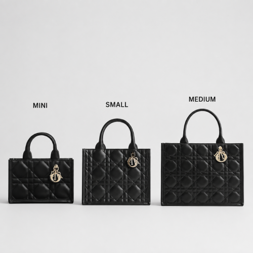 Dior Book Tote