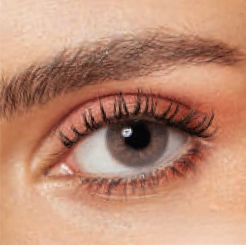 عدسات دايا بيكان Daya One Day Color Pecan Lenses