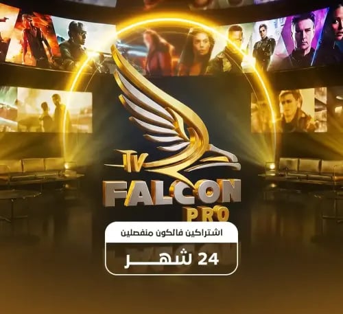اشتراكين فالكون منفصلين 24 شهر
