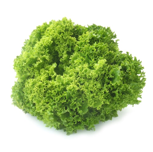 Lulu Pionda lettuce 300 grams