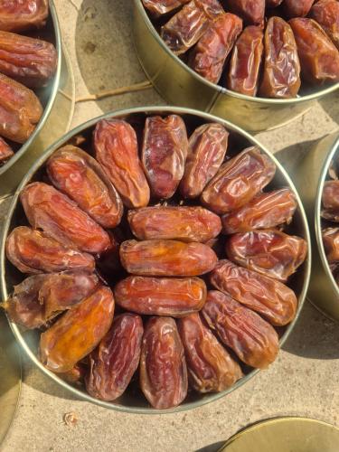 تمر صفري جامبو