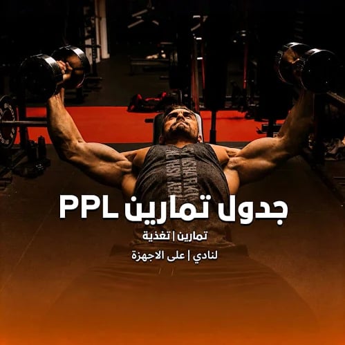 جدول push pull legs للرجال