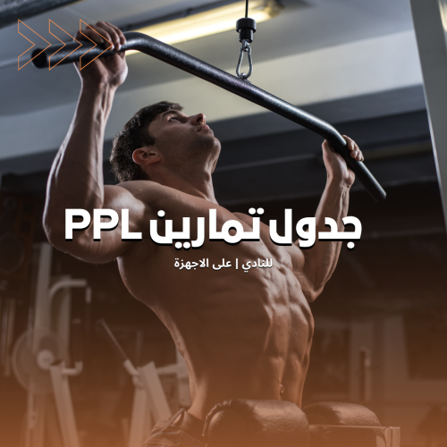 جدول push pull legs للرجال