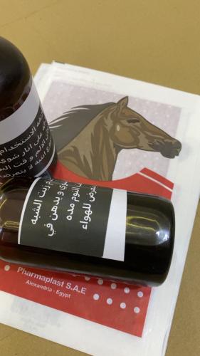 Shiba oil with herbs, Fiks patch. Symptoms of scia...