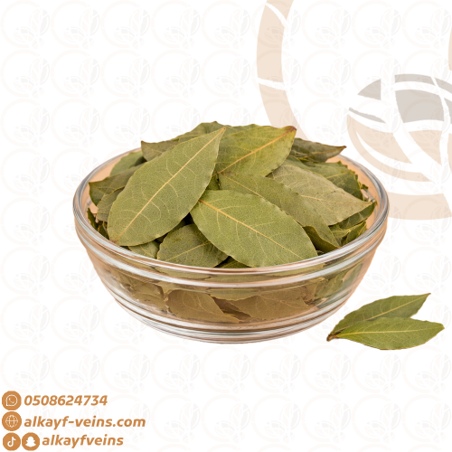 ورق غار سوري (ورق الغار)