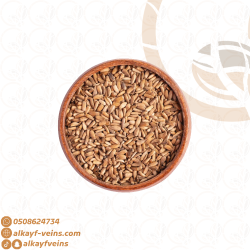 بذور شوك الحليب (بذور شوك الجمل)