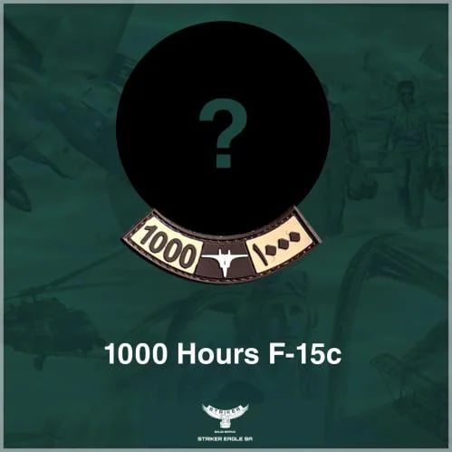 F-15 C 1000 Hours