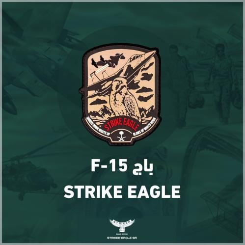 باج F-15
