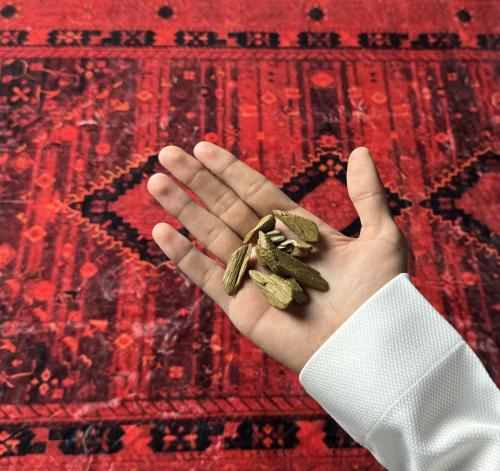 عود مروكي بيور دقة فصفص
