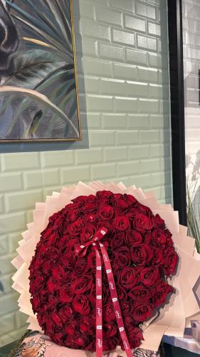 Cent Roses Royale – سون روز روايال