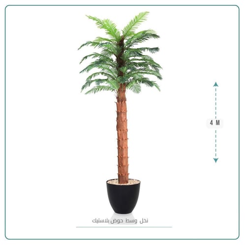 نخل وسط حوض بلاستيك