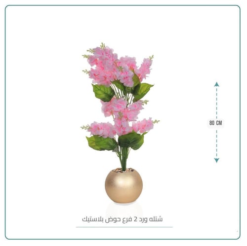 شتلة ورد 2فرع حوض بلاستيك