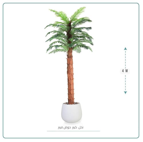 نخل وسط حوض بلاستيك