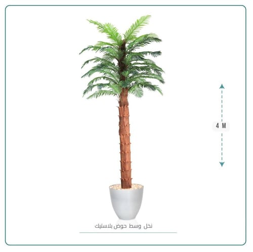 نخل وسط حوض بلاستيك