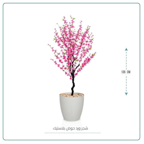 شجرة ورد حوض بلاستيك