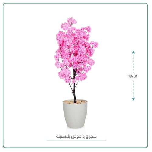 شجرة ورد حوض بلاستيك