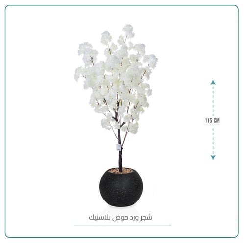 شجر ورد حوض بلاستيك