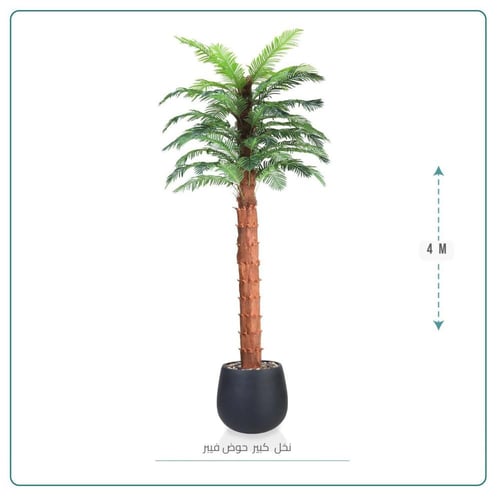 نخل وسط حوض بلاستيك