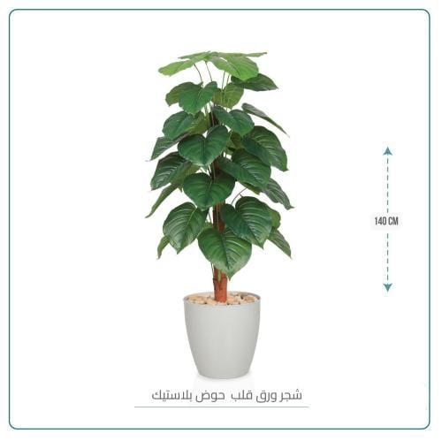 شجر ورق قلب حوض بلاستيك