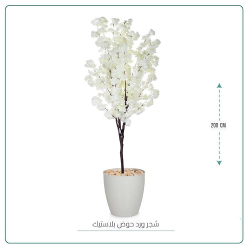 شجرة ورد حوض بلاستيك