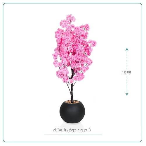 شجر ورد حوض بلاستيك