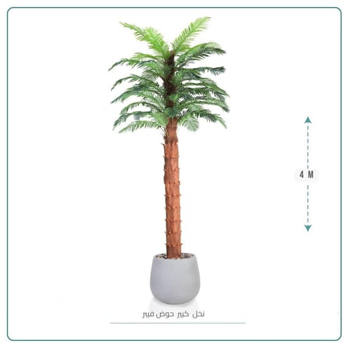 نخل وسط حوض بلاستيك