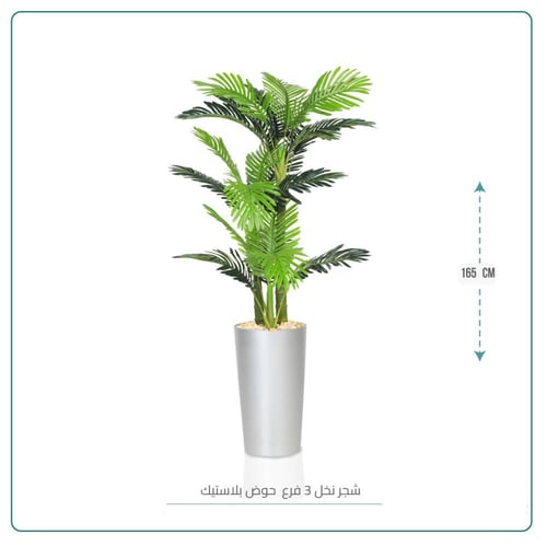 شجر نخل 3 فرع حوض بلاستيك