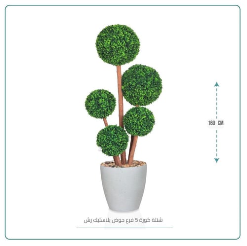 كورة 4فروع ورق الليمون حوض بلاستيك رش