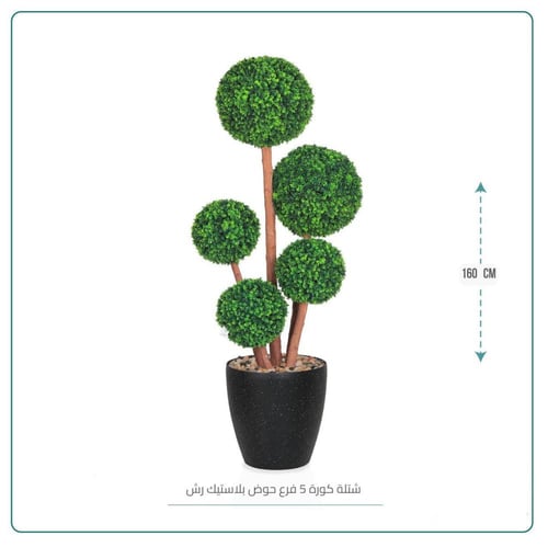 كورة 4فروع ورق الليمون حوض بلاستيك رش