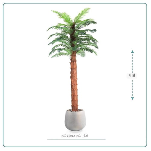 نخل وسط حوض بلاستيك