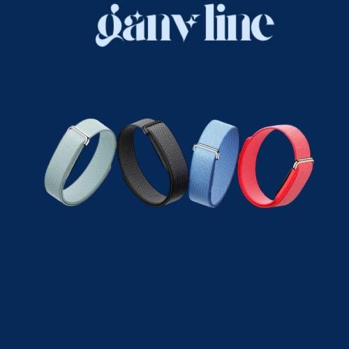 Google Fitbit Air