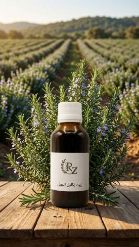 Rosemary oil concentrate 30 ml