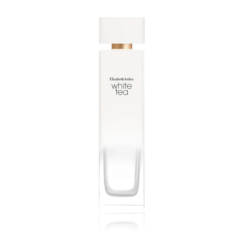 اليز ابيث اردن وايت تي-100