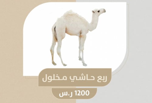 ربع حاشي مخلول