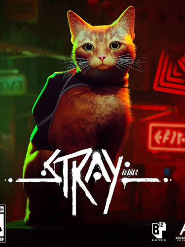 Stary | ستراي اونلاين