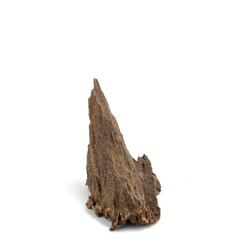 من نوادر العود عود سمباوى قديم ذو الرائحة السويتية