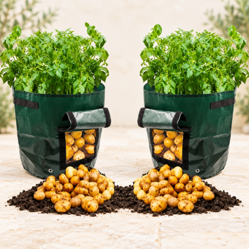 اكياس زراعة البطاطس