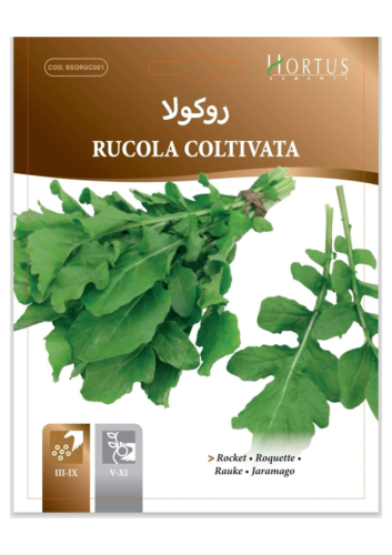باقة بذور أعشاب المطبخ | Kitchen Herb Seed Kit