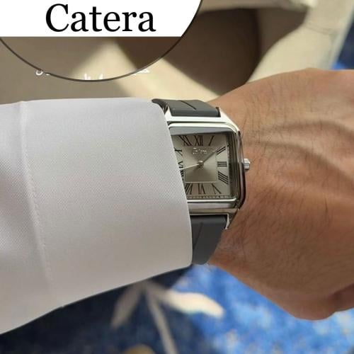 ساعة رجالي ربل اطار فضي سير رمادي