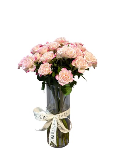 فازة بيبي روز ريفليكس