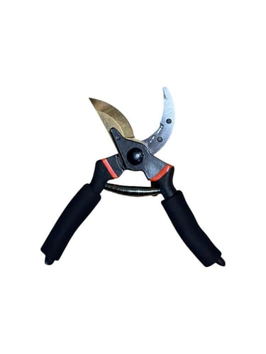 مقص ورد كبير - أسود