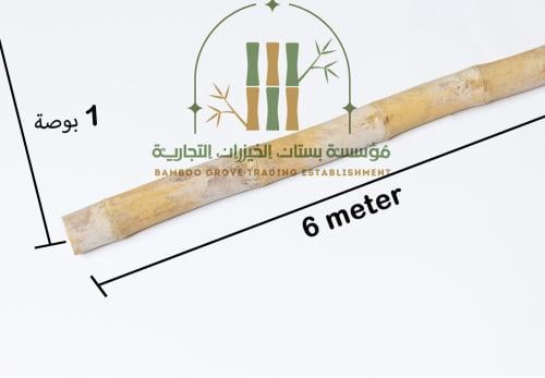 عامود بامبو صغير 6م