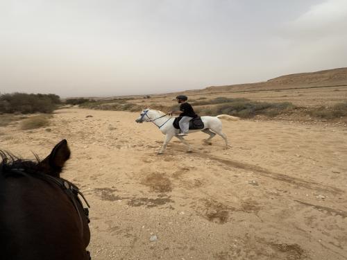 جولة ركوب الخيل