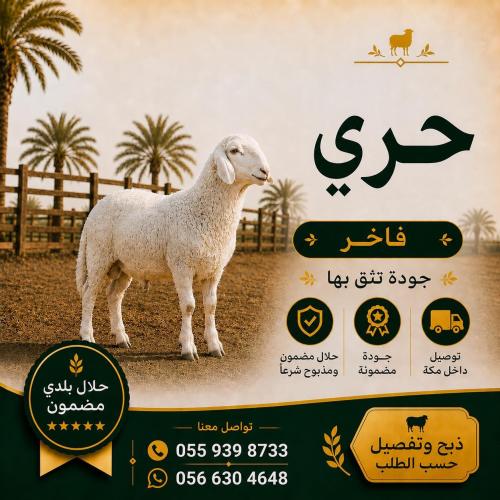حري وسط