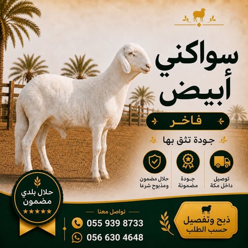 سواكني أبيض