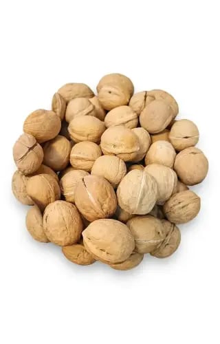 عين الجمل بالقشر (جوز)