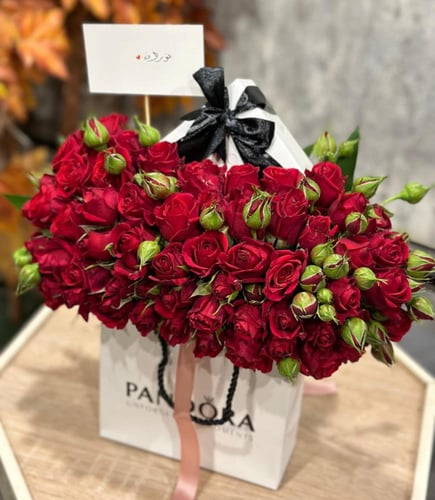 سلسال لون فضي المرأة الحسناء Love