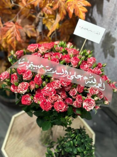 فازة ورد بيبي روز ماكس