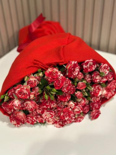 باقة ورود طبيعية بيبي روز مكس مغلفة ب شال ميكاسا ا...